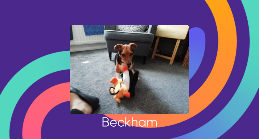 Beckham for website