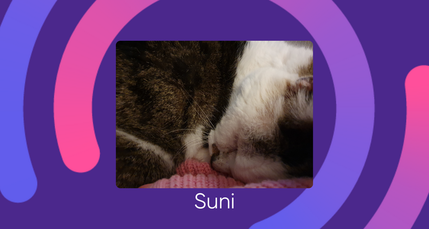 Suni for website