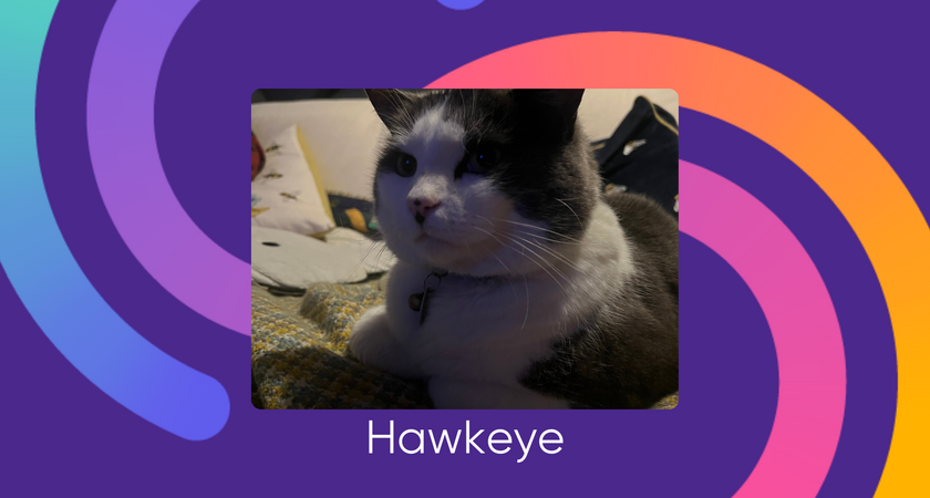 Hawkeye for website