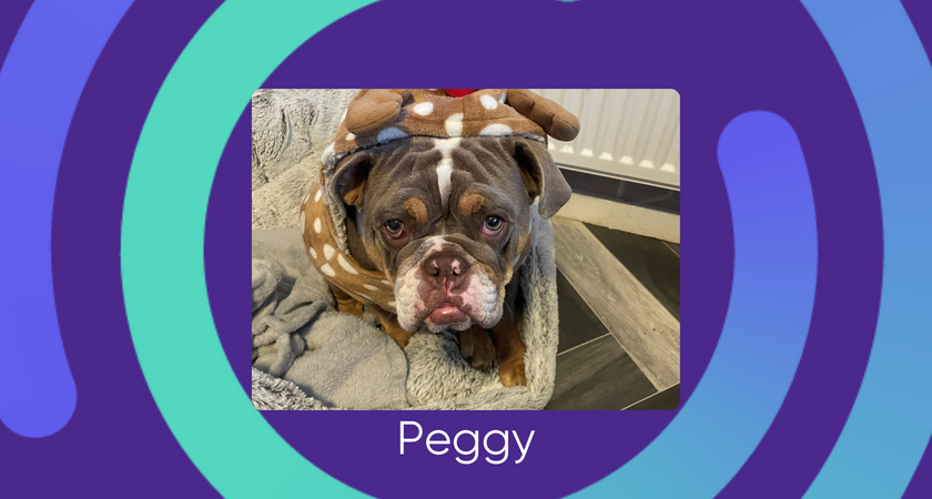 Peggy for website