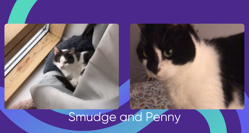 Smudge and Penny for website