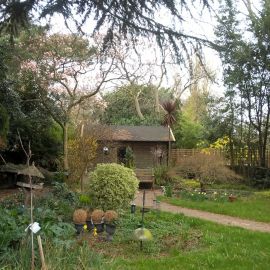 Service Roy Kinnear House back garden