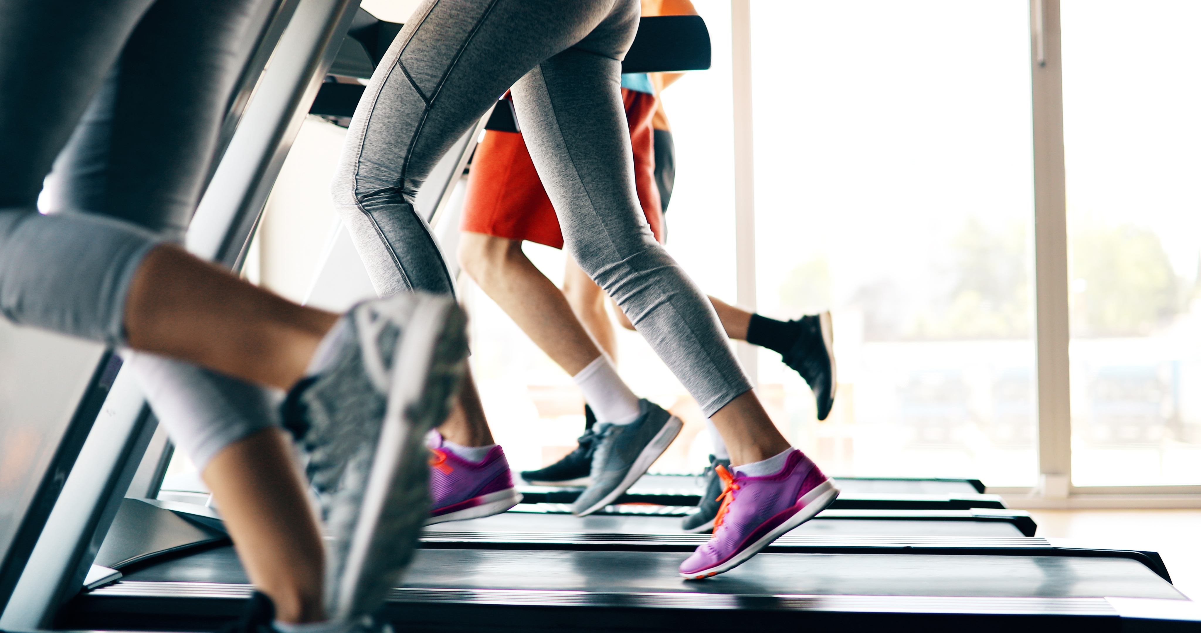 Stock photo at the gym